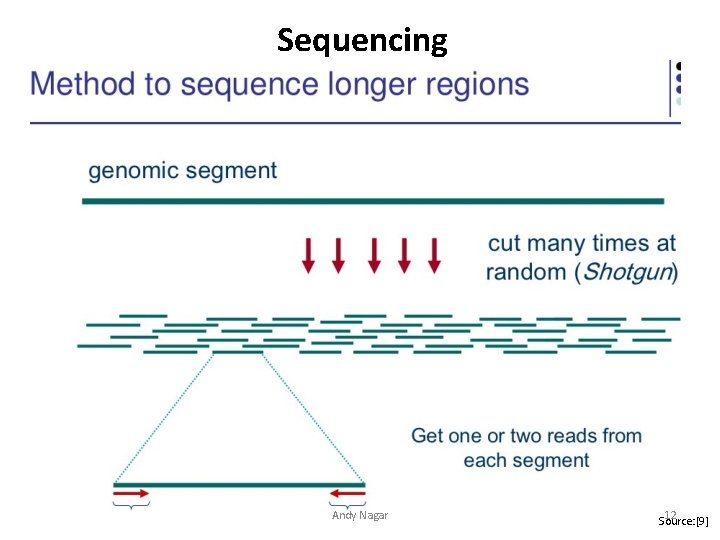 Sequencing Andy Nagar 12 Source: [9] 
