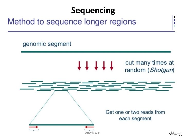 Sequencing Andy Nagar 12 Source: [9] 