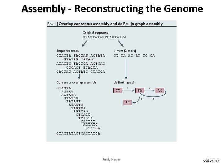 Assembly - Reconstructing the Genome Andy Nagar 17 Source: [13] 