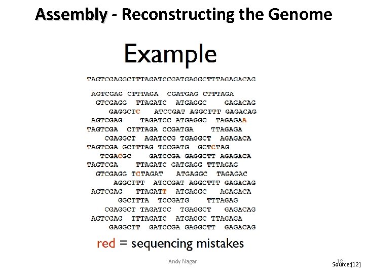 Assembly - Reconstructing the Genome Andy Nagar 18 Source: [12] 