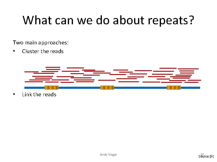 What can we do about repeats? Two main approaches: • Cluster the reads •