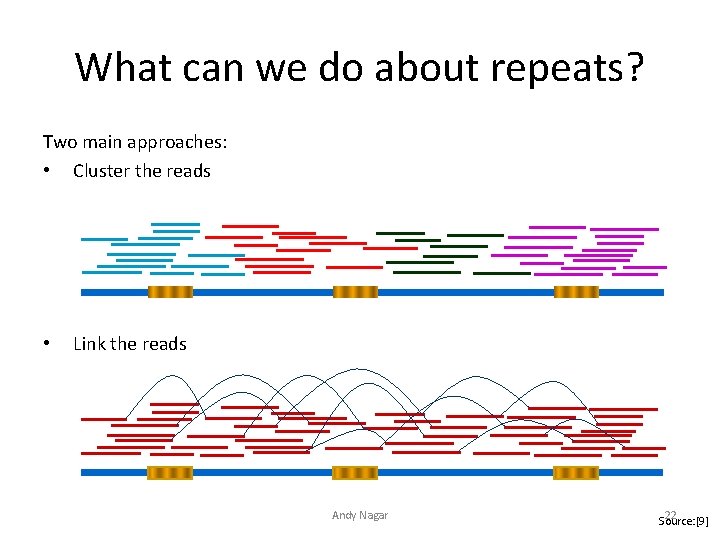 What can we do about repeats? Two main approaches: • Cluster the reads •