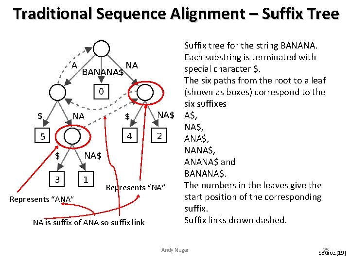 Traditional Sequence Alignment – Suffix Tree Represents “NA” Represents “ANA” NA is suffix of