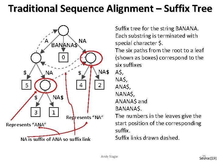 Traditional Sequence Alignment – Suffix Tree Represents “NA” Represents “ANA” NA is suffix of Traditional Sequence Alignment – Suffix Tree Represents “NA” Represents “ANA” NA is suffix of