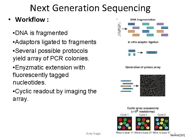 Next Generation Sequencing • Workflow : • DNA is fragmented • Adaptors ligated to