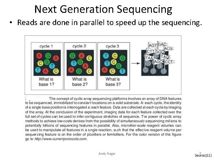 Next Generation Sequencing • Reads are done in parallel to speed up the sequencing. Next Generation Sequencing • Reads are done in parallel to speed up the sequencing.