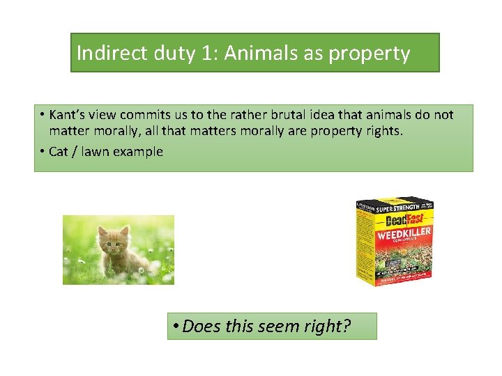 Indirect duty 1: Animals as property • Kant’s view commits us to the rather