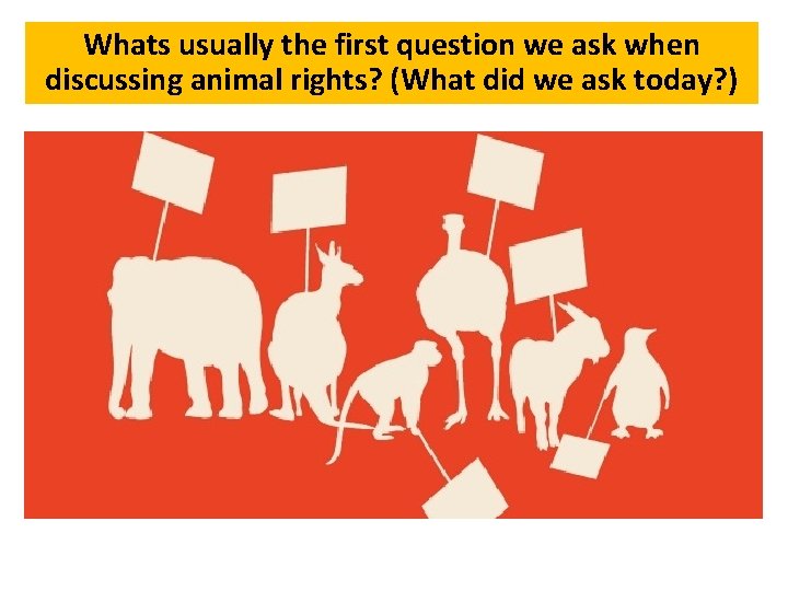 Whats usually the first question we ask when discussing animal rights? (What did we