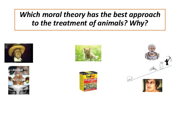 Which moral theory has the best approach to the treatment of animals? Why? 