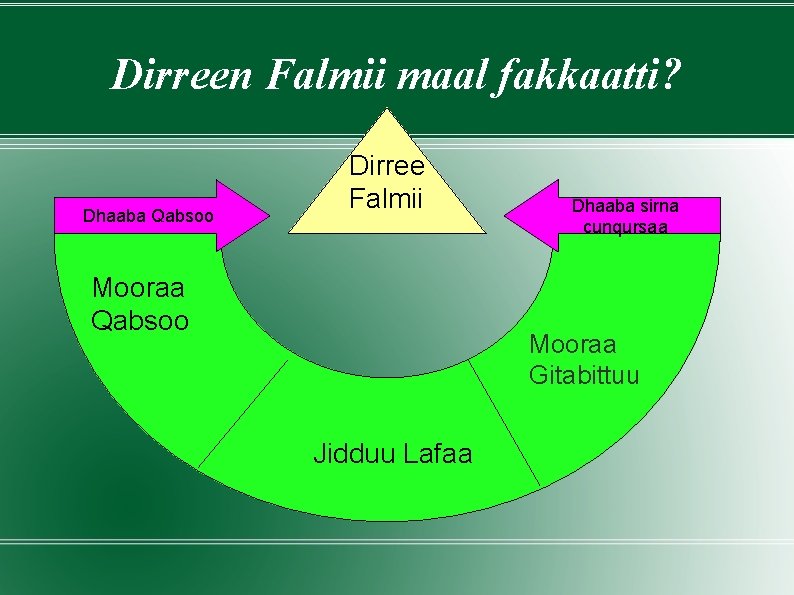 Dirreen Falmii maal fakkaatti? Dhaaba Qabsoo Dirree Falmii Mooraa Qabsoo Dhaaba sirna cunqursaa Mooraa