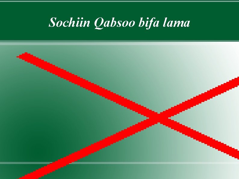 Sochiin Qabsoo bifa lama 