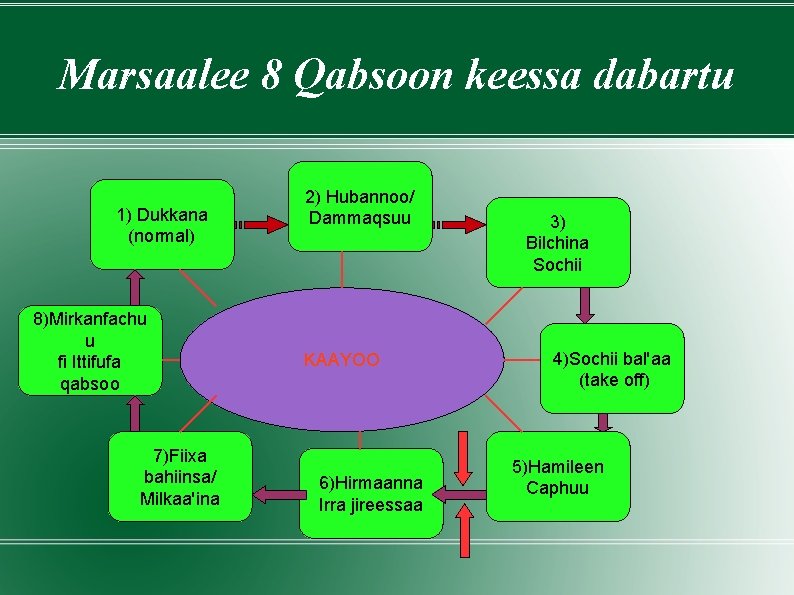 Marsaalee 8 Qabsoon keessa dabartu 1) Dukkana (normal) 8)Mirkanfachu u fi Ittifufa qabsoo 7)Fiixa