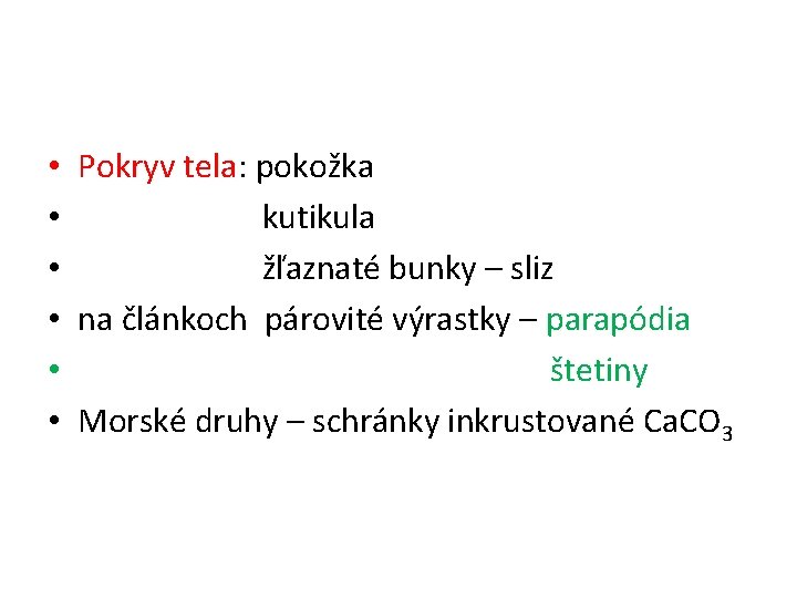  • • • Pokryv tela: pokožka kutikula žľaznaté bunky – sliz na článkoch