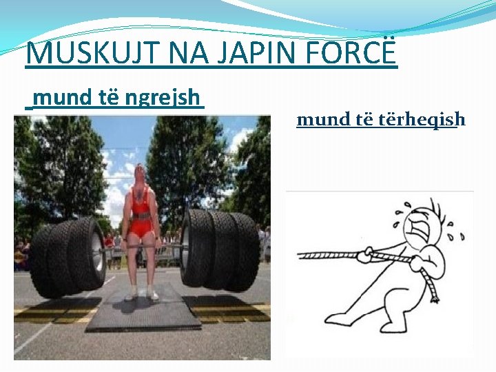 MUSKUJT NA JAPIN FORCË mund të ngrejsh • mund të tërheqish 