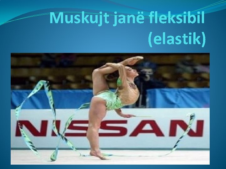 Muskujt janë fleksibil (elastik) 