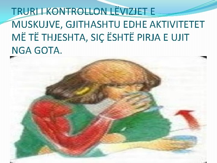 TRURI I KONTROLLON LËVIZJET E MUSKUJVE, GJITHASHTU EDHE AKTIVITETET MË TË THJESHTA, SIÇ ËSHTË