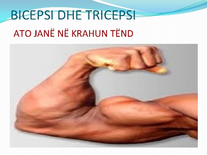 BICEPSI DHE TRICEPSI ATO JANË NË KRAHUN TËND 