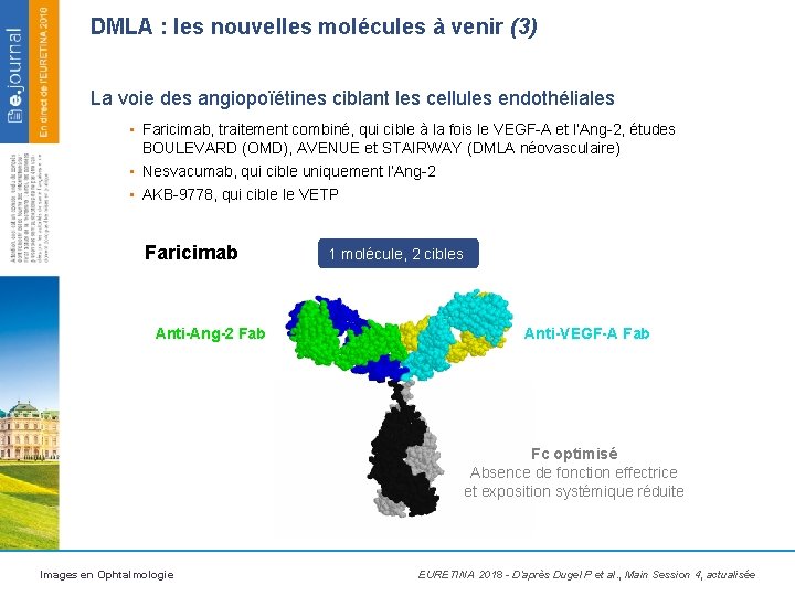 DMLA : les nouvelles molécules à venir (3) La voie des angiopoïétines ciblant les