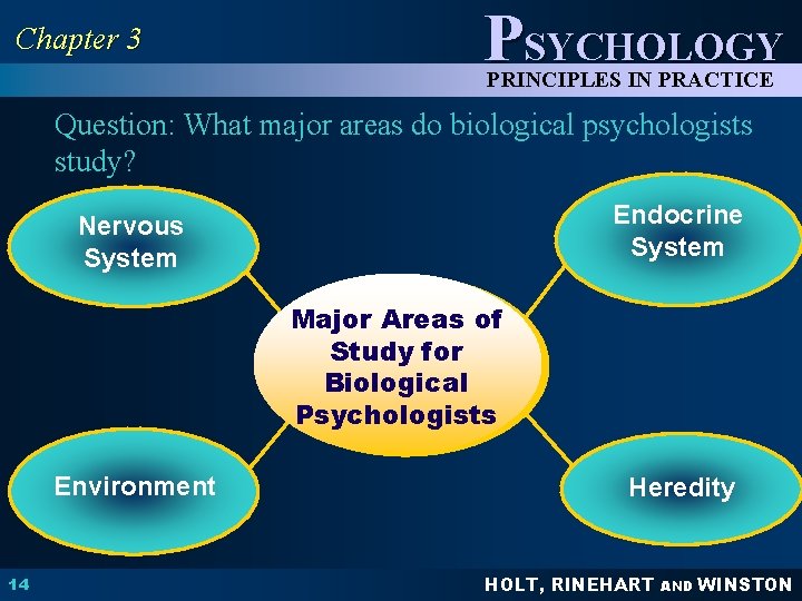 Chapter 3 PSYCHOLOGY PRINCIPLES IN PRACTICE Question: What major areas do biological psychologists study?