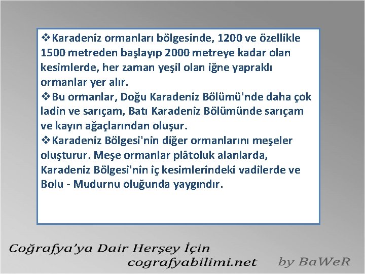 v. Karadeniz ormanları bölgesinde, 1200 ve özellikle 1500 metreden başlayıp 2000 metreye kadar olan