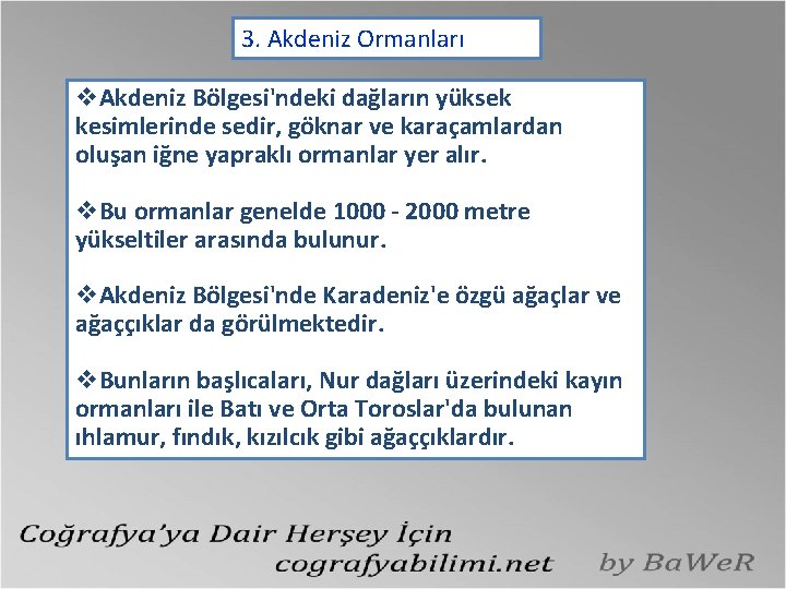 3. Akdeniz Ormanları v. Akdeniz Bölgesi'ndeki dağların yüksek kesimlerinde sedir, göknar ve karaçamlardan oluşan