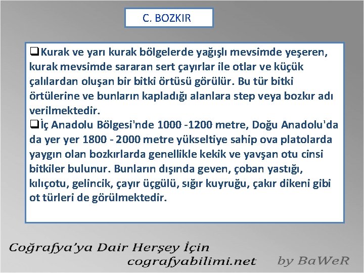 C. BOZKIR q. Kurak ve yarı kurak bölgelerde yağışlı mevsimde yeşeren, kurak mevsimde sararan