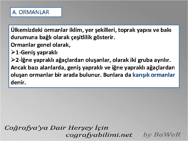 A. ORMANLAR Ülkemizdeki ormanlar iklim, yer şekilleri, toprak yapısı ve bakı durumuna bağlı olarak