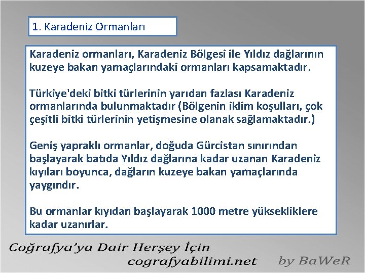 1. Karadeniz Ormanları Karadeniz ormanları, Karadeniz Bölgesi ile Yıldız dağlarının kuzeye bakan yamaçlarındaki ormanları