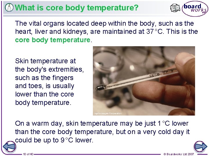 What is core body temperature? The vital organs located deep within the body, such