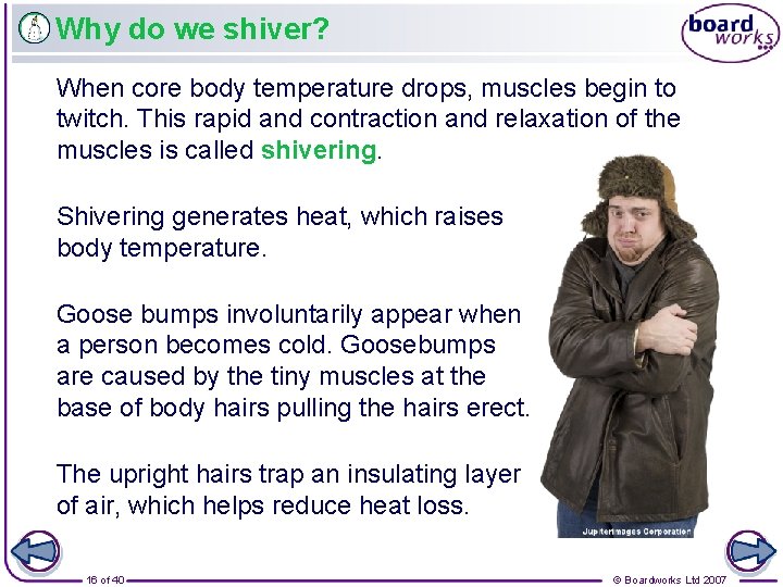 Why do we shiver? When core body temperature drops, muscles begin to twitch. This