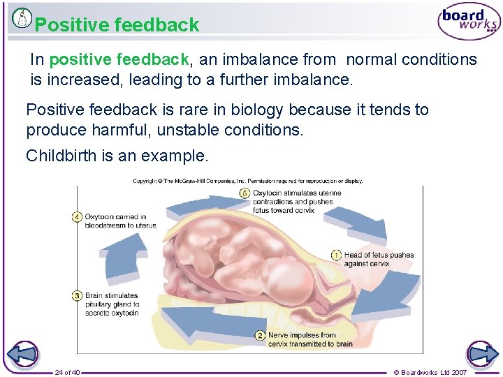 Positive feedback In positive feedback, an imbalance from normal conditions is increased, leading to