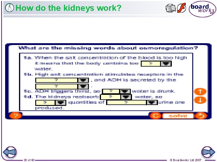 How do the kidneys work? 30 of 40 © Boardworks Ltd 2007 