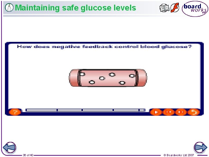 Maintaining safe glucose levels 36 of 40 © Boardworks Ltd 2007 