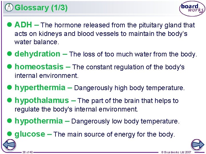 Glossary (1/3) l ADH – The hormone released from the pituitary gland that acts