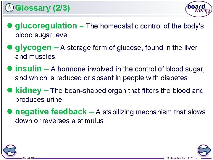 Glossary (2/3) l glucoregulation – The homeostatic control of the body’s blood sugar level.