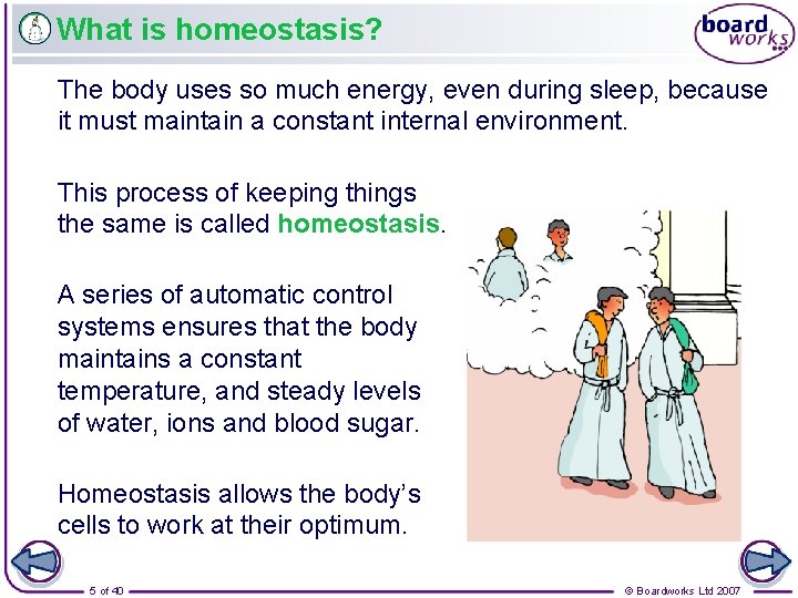 What is homeostasis? The body uses so much energy, even during sleep, because it