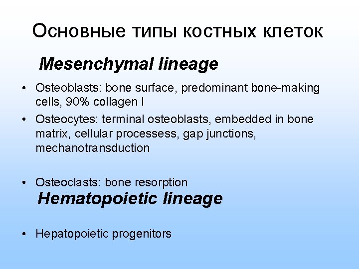 Основные типы костных клеток Mesenchymal lineage • Osteoblasts: bone surface, predominant bone-making cells, 90%