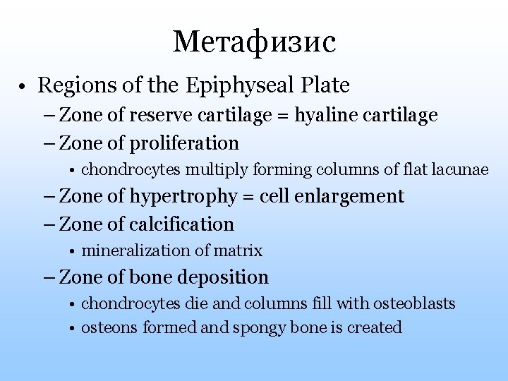 Метафизис • Regions of the Epiphyseal Plate – Zone of reserve cartilage = hyaline