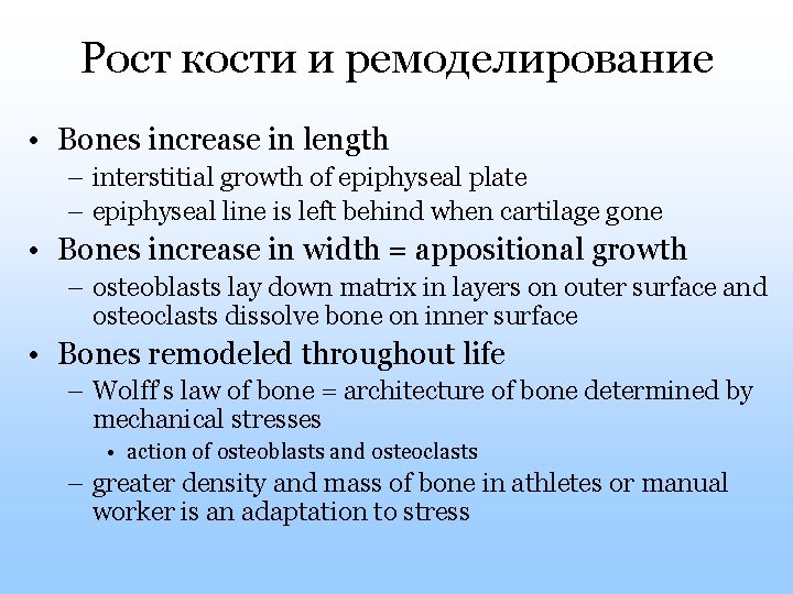 Рост кости и ремоделирование • Bones increase in length – interstitial growth of epiphyseal