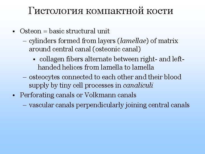 Гистология компактной кости • Osteon = basic structural unit – cylinders formed from layers