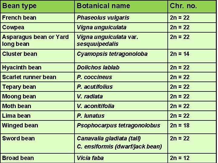 Bean type Botanical name Chr. no. French bean Phaseolus vulgaris 2 n = 22