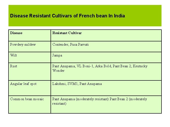Disease Resistant Cultivars of French bean In India Disease Resistant Cultivar Powdery mildew Contender,
