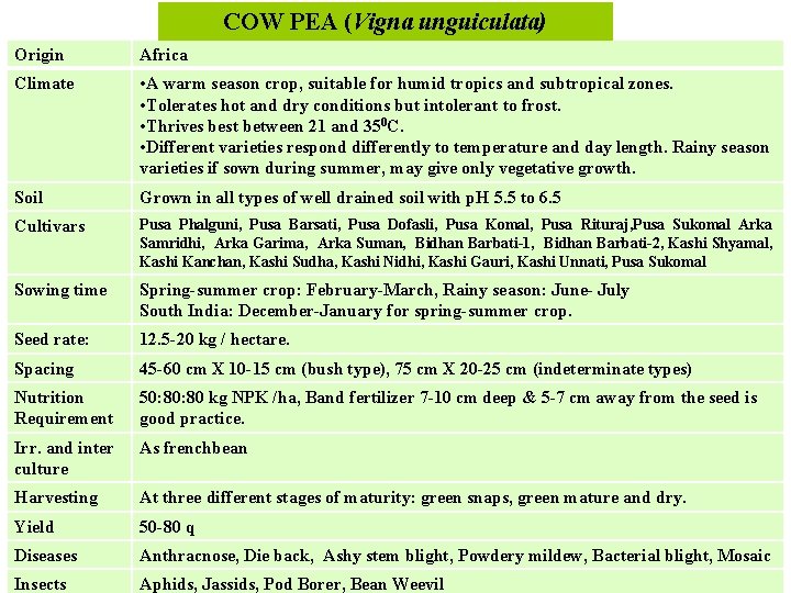 COW PEA (Vigna unguiculata) Origin Africa Climate • A warm season crop, suitable for