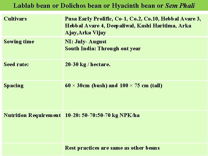 Lablab bean or Dolichos bean or Hyacinth bean or Sem Phali Cultivars Pusa Early