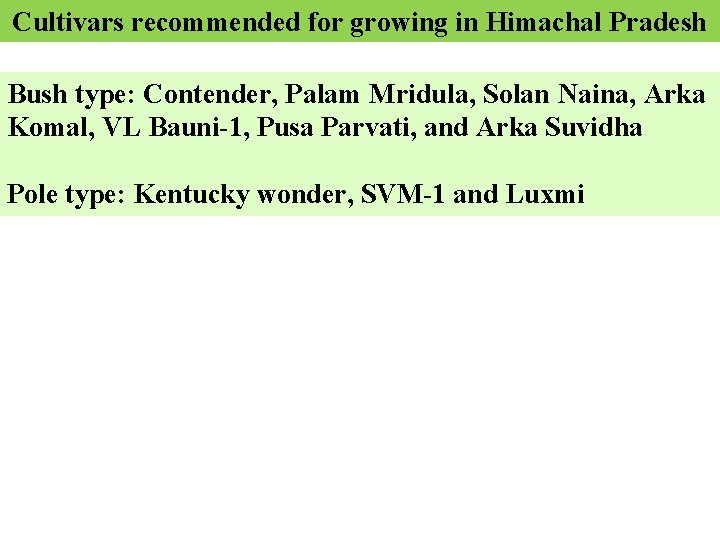 Cultivars recommended for growing in Himachal Pradesh Bush type: Contender, Palam Mridula, Solan Naina,