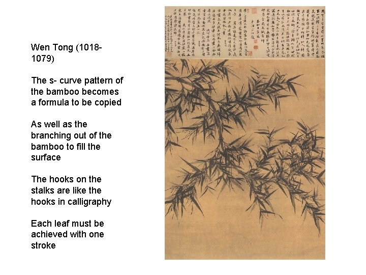 Wen Tong (10181079) The s- curve pattern of the bamboo becomes a formula to