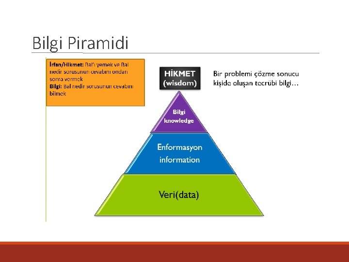 Bilgi Piramidi 