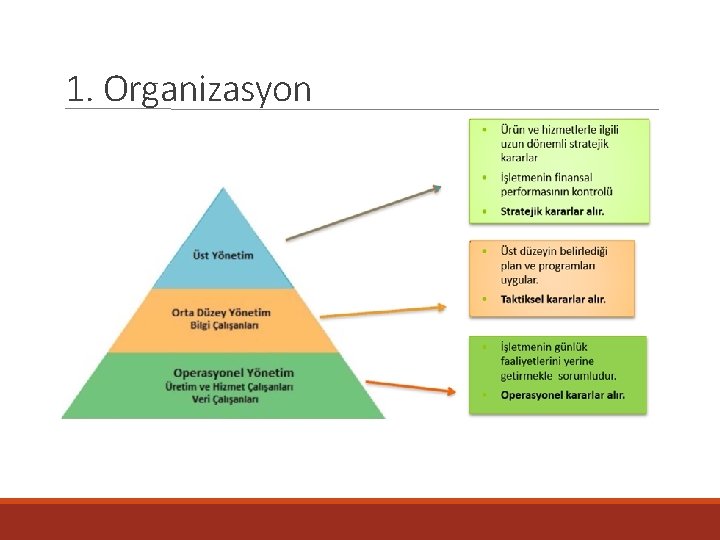 1. Organizasyon 