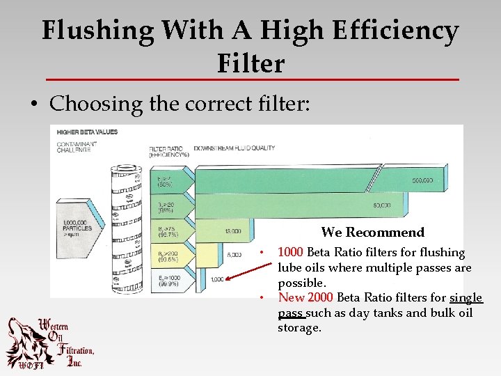 Flushing With A High Efficiency Filter • Choosing the correct filter: We Recommend •
