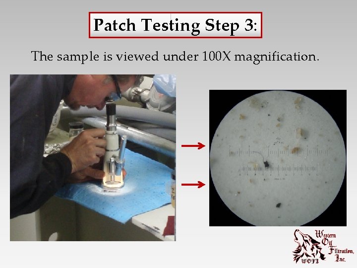 Patch Testing Step 3: The sample is viewed under 100 X magnification. 